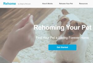 Rehome-image-for-website-page-1024x699