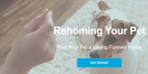 Rehome-image-for-website-page-1024x699